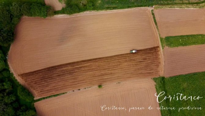 Campos de Culltivo Coristanco
