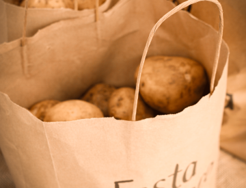 Festa-da-Pataca---Bolsa