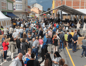 Festa-da-Pataca---Exterior